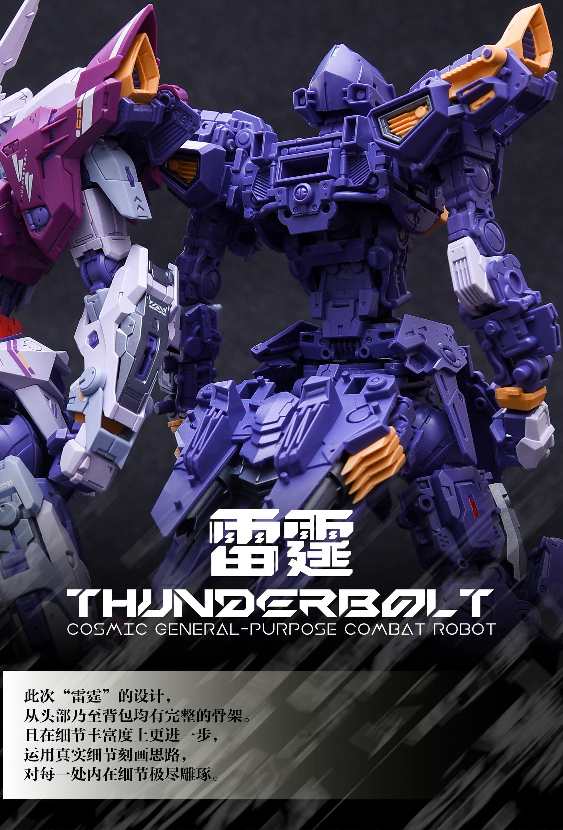 Infinity Nova THB-02A Thunderbolt 1/100 Scale Model Kit